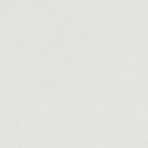 Aldo Prasien 12 Aldo Prasien - Image 10