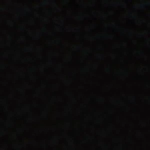 Aldo Figtree - Image 7