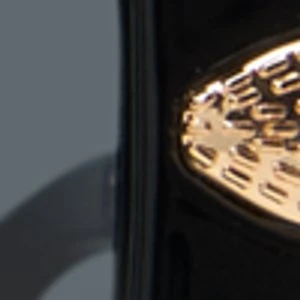 Aldo Biwia - Image 4