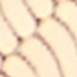 Aldo Seascharms Layered Statement Necklace -The Aldo Shop base 84270 product 13995007 seascharms multi 972 sw sq