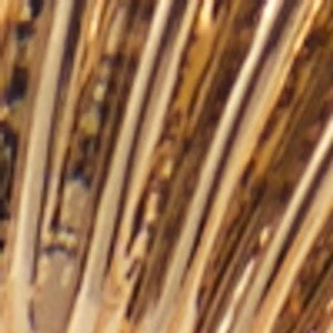 Aldo Shellchic Stackable Rings - Set of Versatile Women's Jewelry 5 Aldo Shellchic Stackable Rings - Set of Versatile Women's Jewelry - Image 3