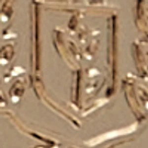 Aldo Magiclove Anklet - Elegant Statement Jewelry for Women - Image 2