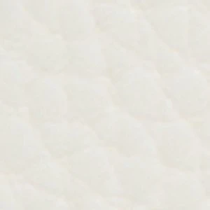 Aldo Berabrinax: Chic and Functional Women's Bag for Every Occasion - Image 7