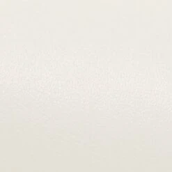 Aldo Bienkaax Leather Bucket Bag with Gold Ring Handle -The Aldo Shop base 85592 product 14076745 bienkaax beige 168 002 029 sw sq