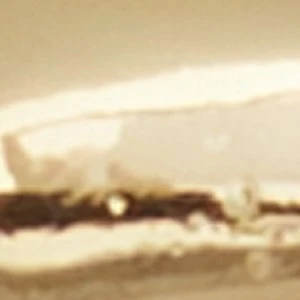 Aldo Croissantss - Image 2