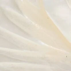 Aldo Camelliaa Floral Shell and Pearl Earrings -The Aldo Shop base 86222 product 14088381 camelliaa white 102 sw sq