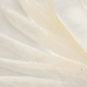 Aldo Camelliaa Floral Shell and Pearl Earrings - Image 3