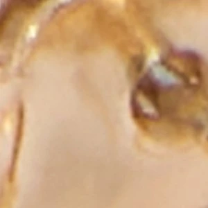 Aldo Careslin 4 Aldo Careslin - Image 2