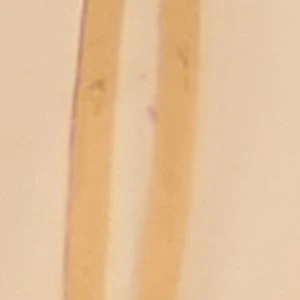 Aldo Adweli 5-Piece Pearl & Gold-Tone Stackable Ring Set 5 Aldo Adweli 5-Piece Pearl & Gold-Tone Stackable Ring Set - Image 3