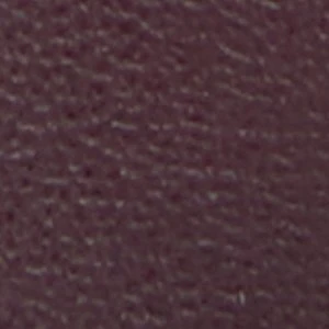 Aldo Nahanie Fringe Stiletto Mules - Burgundy Pointy Toe Heels - Image 8