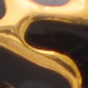 Aldo Roarcity - Image 2