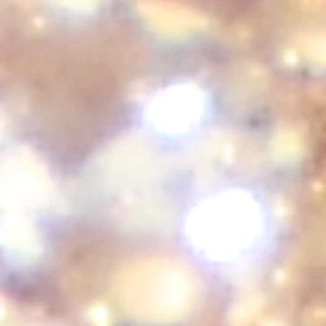 Aldo Eclipsse Cross Charm & Pavé Mini Hoop Kinetic Ear Stack - Image 2