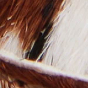 Aldo Coolchic Women's Haircalf Cow-Print Jogger Sneakers 10 Aldo Coolchic Women's Haircalf Cow-Print Jogger Sneakers - Image 8