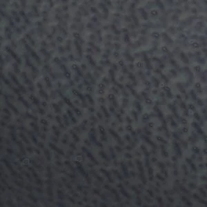 Aldo Iliria Women's Patent Leather Sandals with Gold Accents - Image 8