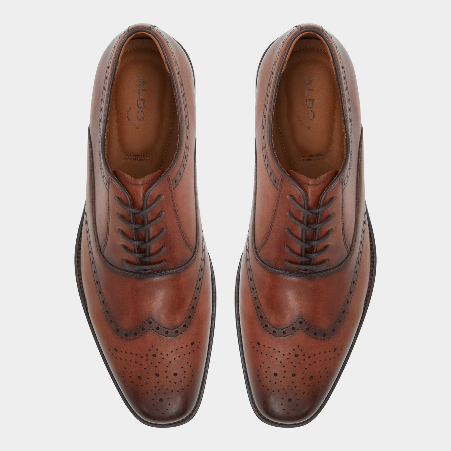 Aldo Donald 8 Aldo Donald - Image 6