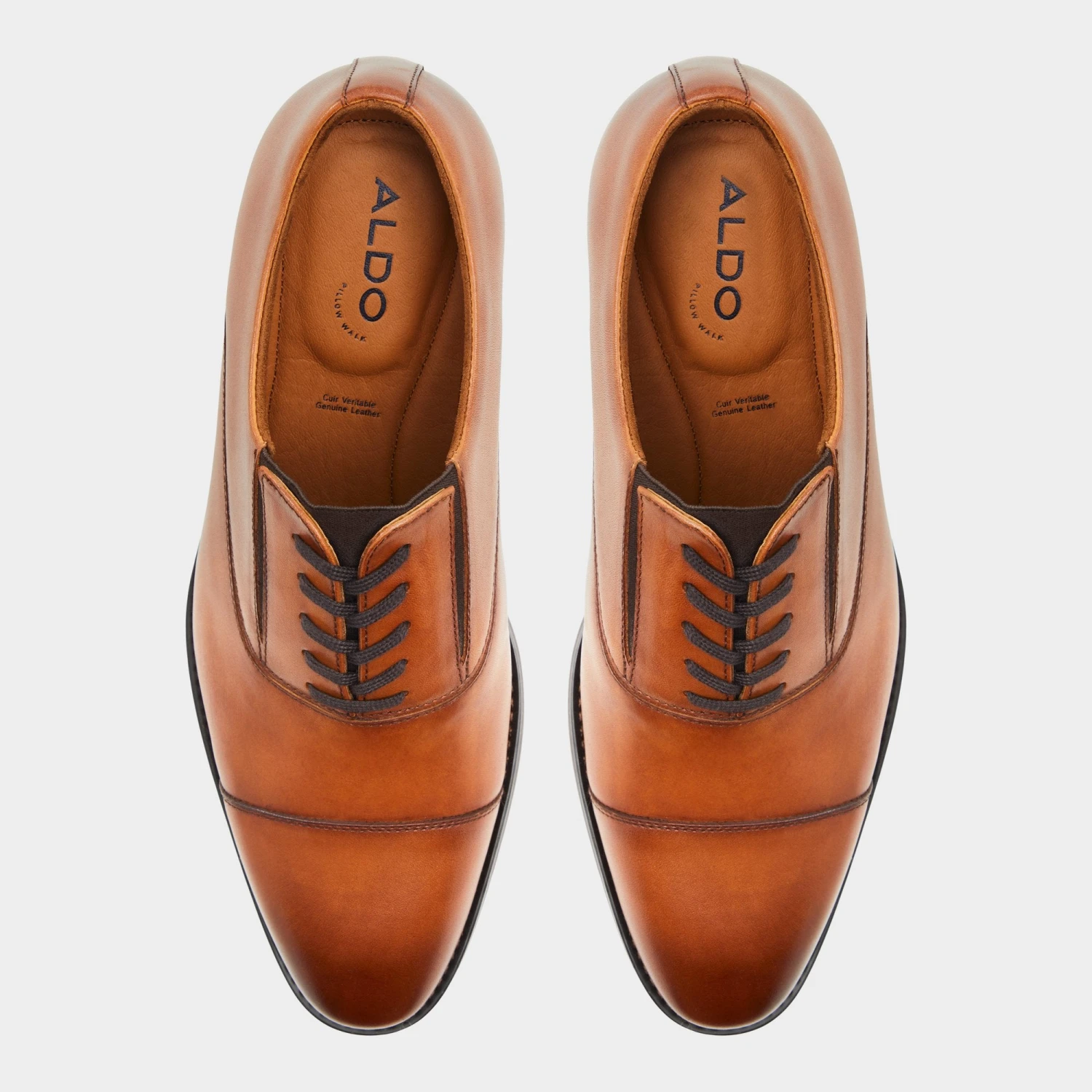 Aldo Paxley 8 Aldo Paxley - Image 6