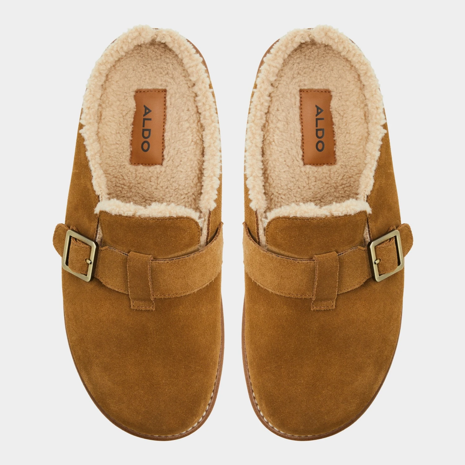 Aldo Kellan 8 Aldo Kellan - Image 6