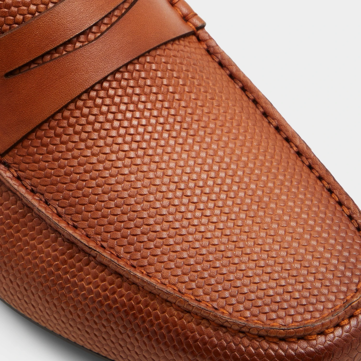 Aldo Discourse 10 Aldo Discourse - Image 8