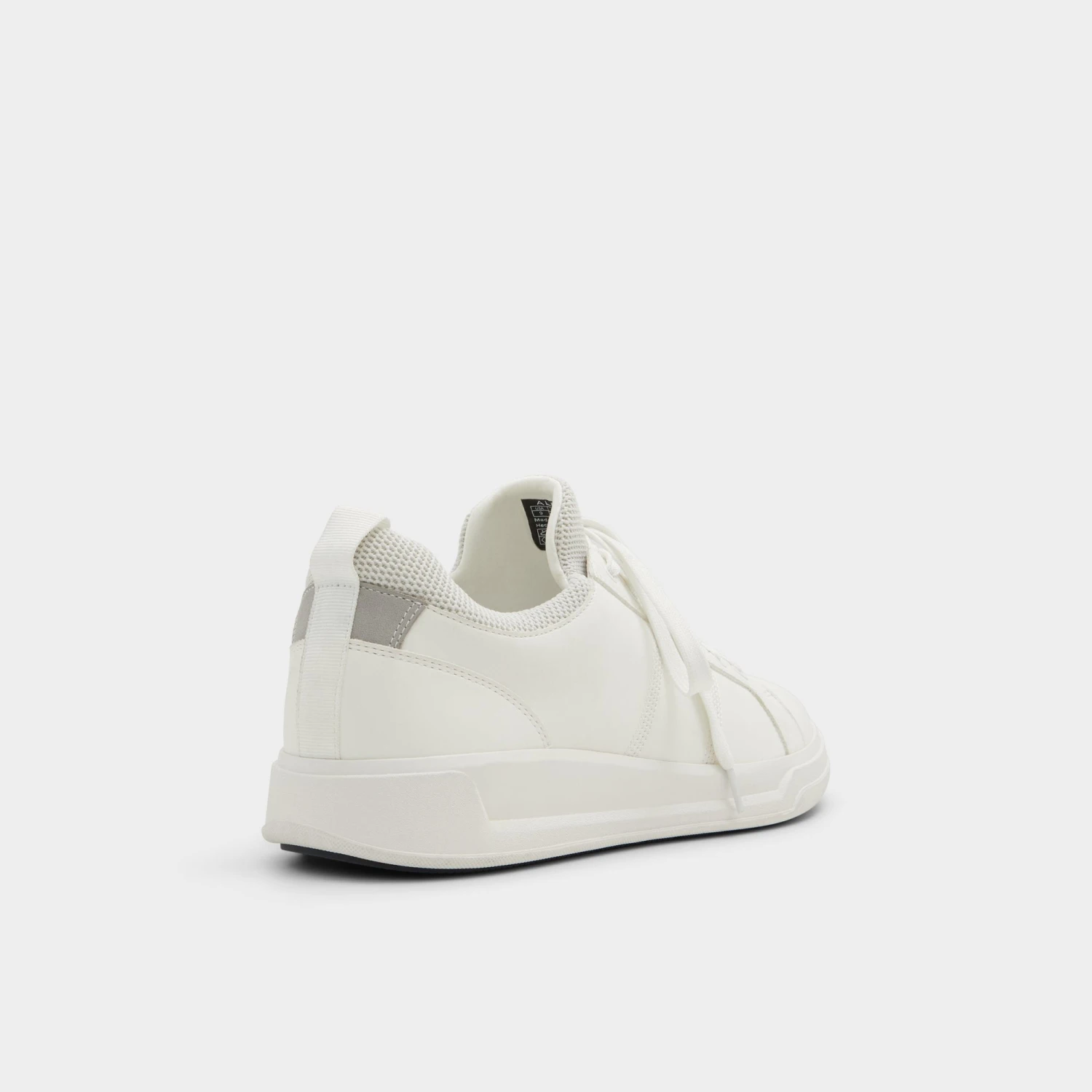 Aldo Prasien 4 Aldo Prasien - Image 2