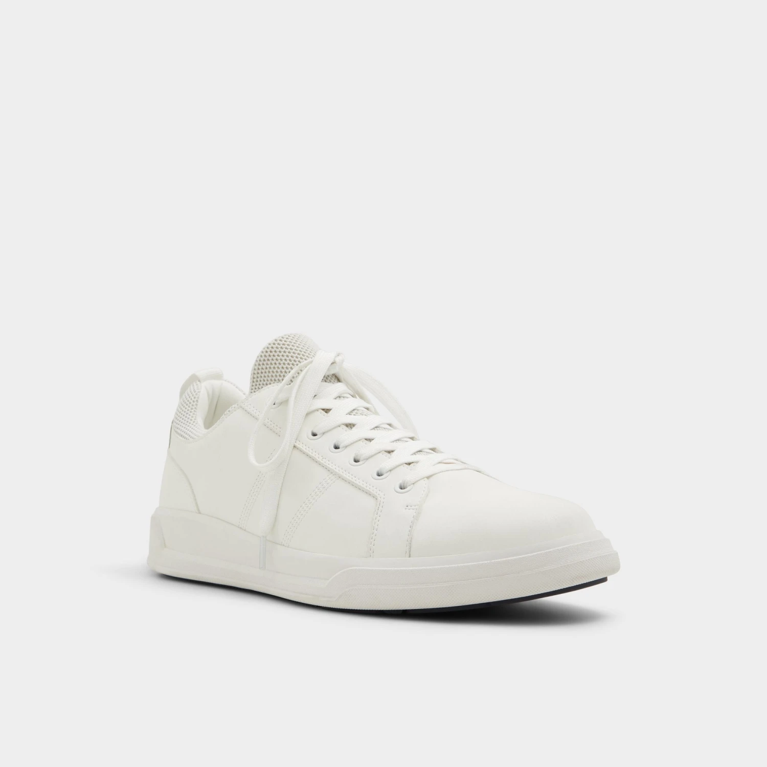 Aldo Prasien 6 Aldo Prasien - Image 4