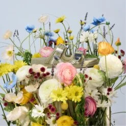 Aldo Bohodream Women's Stylish Summer Sandals 19 Aldo Bohodream Women's Stylish Summer Sandals -The Aldo Shop product 13967594 bohodream beige 250 003 003 campaign part sq nt