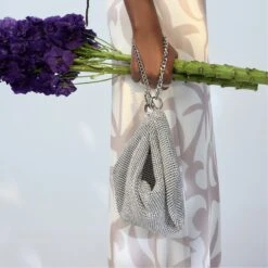 Aldo Vipready Statement Evening Handbag -The Aldo Shop product 13989266 vipready silver 040 002 029 look part sq nt