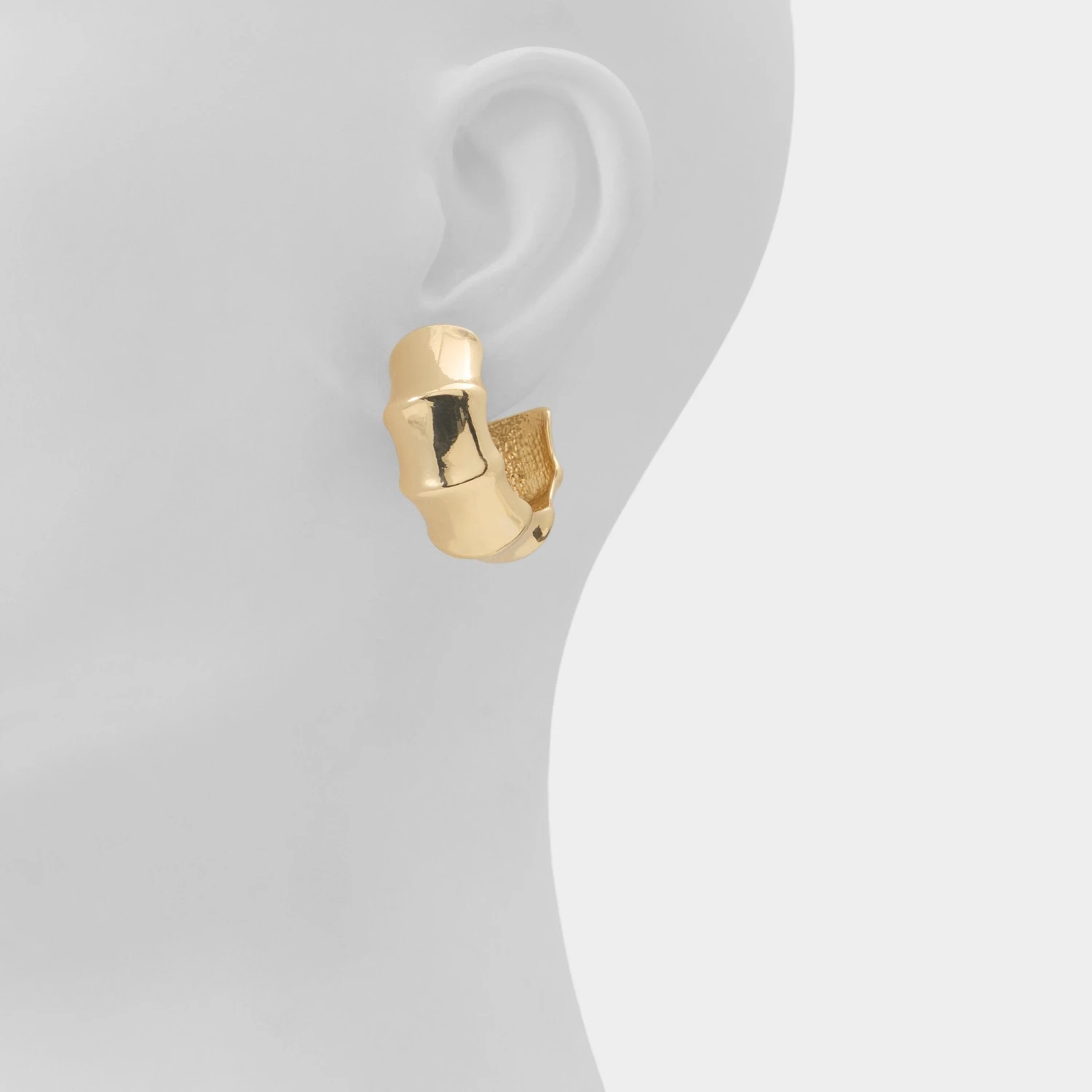 Aldo Kendalle Hoop Earrings for Women 4 Aldo Kendalle Hoop Earrings for Women - Image 2