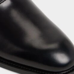 Aldo Braz 18 Aldo Braz -The Aldo Shop product 14161933 braz black 007 001 043 detail sq gy