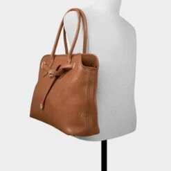 Aldo Eevangeliaax Structured Leather Tote Bag -The Aldo Shop product 14180263 eevangeliaax brown 236 002 029 alt3 sq gy
