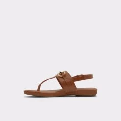 TanyT-strap Sandal -The Aldo Shop tany brown 210 002 043 alt2 sq gy 2000x2000