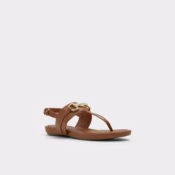 TanyT-strap Sandal -The Aldo Shop tany brown 210 002 043 alt3 sq gy 2000x2000