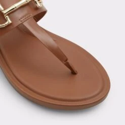 TanyT-strap Sandal -The Aldo Shop tany brown 210 002 043 alt4 sq gy 2000x2000